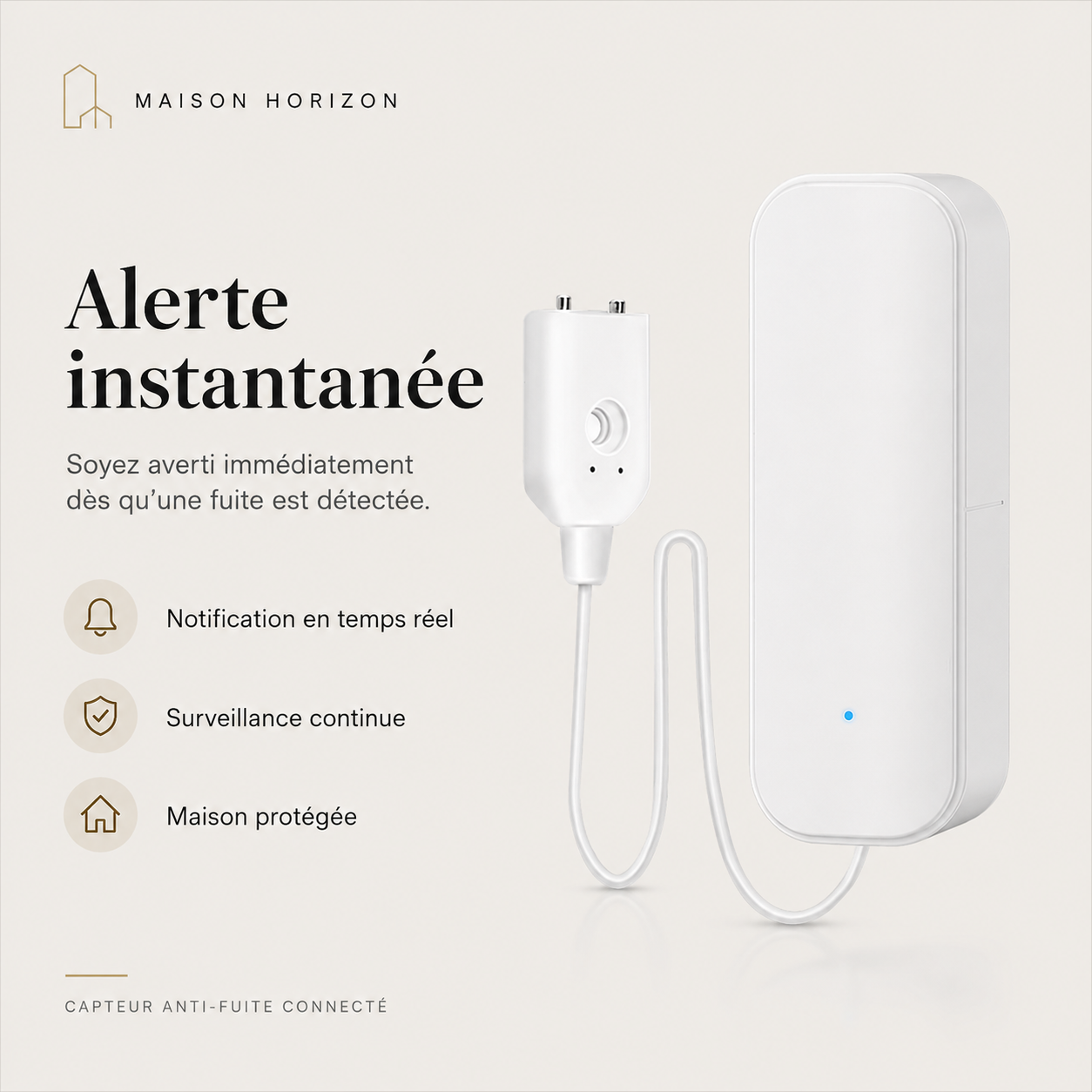 Alerte anti fuite Maison Horizon