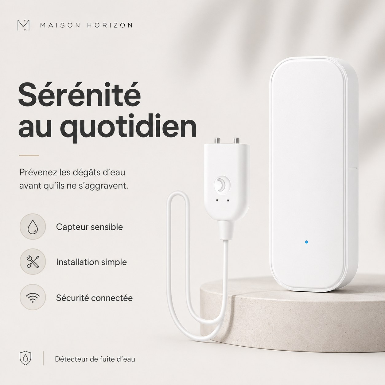 Serenite detecteur fuite eau Maison Horizon