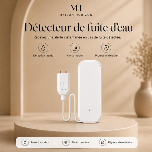 Détecteur de fuite d’eau Maison Horizon visuel publicitaire premium
